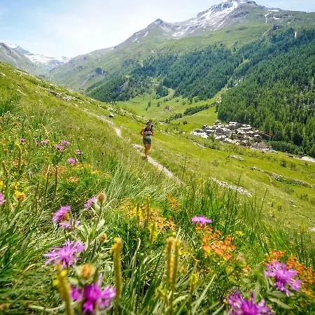 Grepon 6 Incredible Mont Blanc View Апартаменты *