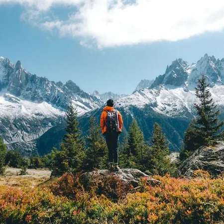 Апартаменты Grepon 6 Incredible Mont Blanc View *